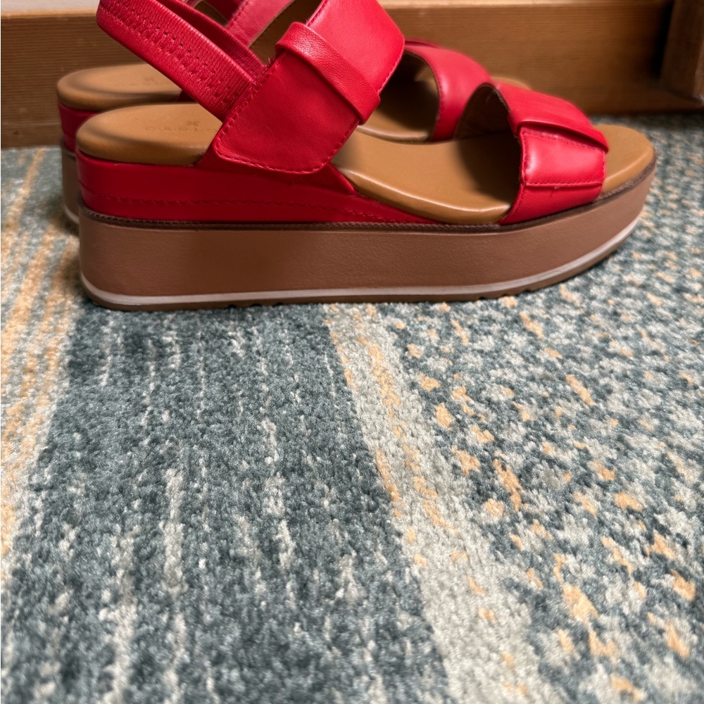 Caslon Red Platform Sandals with Chunky Sole - Picture 5 of 6